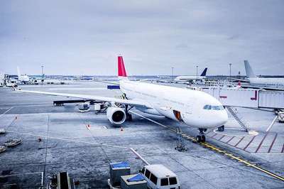 旅行社经营外国人入境团队旅游业务恢复 近期入境航班搜索热度增长370%